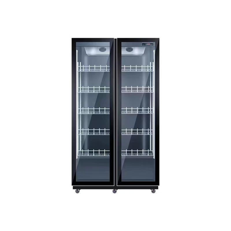 Wine Beer Dual Zone - Dupla porta de refrigeração de ar